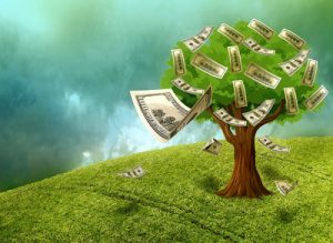 cash grows on trees